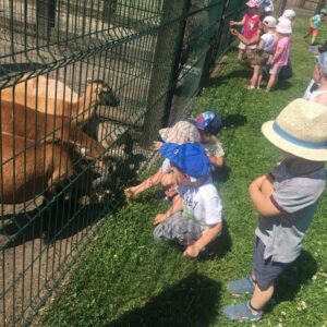 242252161_936688417195968_6536977895619169584_n