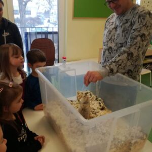 242252181_572998440713260_5174794822615947953_n