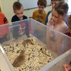 242295647_143216994616767_8394260433059715901_n