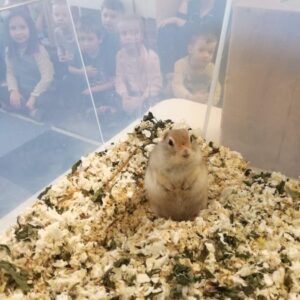 242312108_446489866678893_6541219848821416924_n