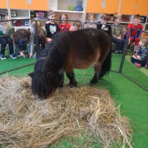 242360272_2970710619814287_484406593782308713_n