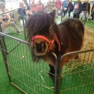 242490269_163420499205969_5893316376185932128_n