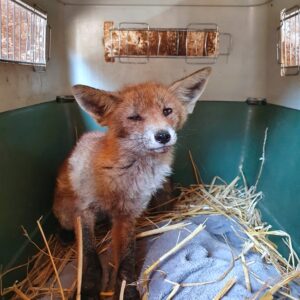 243986045_206672034825310_6646020187879426529_n