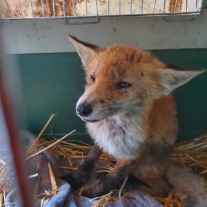 244130291_190737193193480_3033136320565658409_n