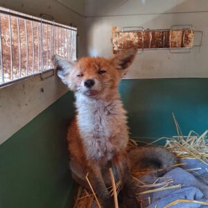 244255599_283451746755190_5775663242006079377_n