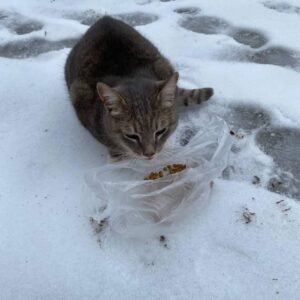 274239568_999534464322856_5148503344931658724_n