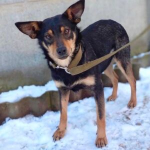 274294866_353990179939328_6783658716574162458_n