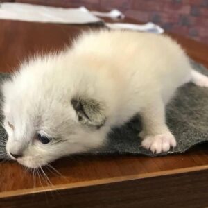 274527750_544493303389237_4845776579082525295_n