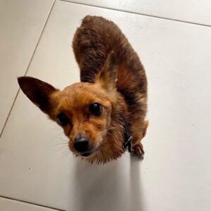 274568883_679074420055234_7190029774849523784_n