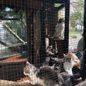 274604423_366466115483746_7438783202404216148_n