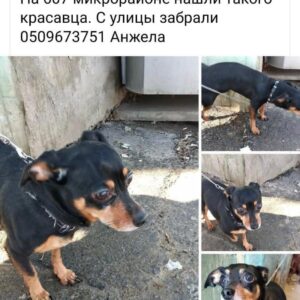 274621054_532949648078167_7525554302190003689_n