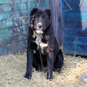 274873373_751162139621600_9165266171346082730_n