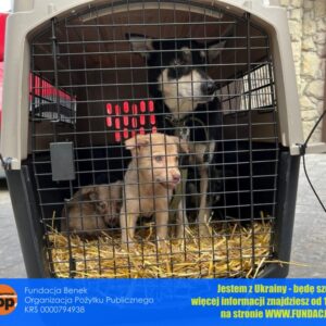 272295527_1644383769259054_8393498793107651624_n