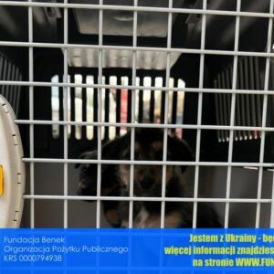 273905926_343046560928319_4187090124590908389_n