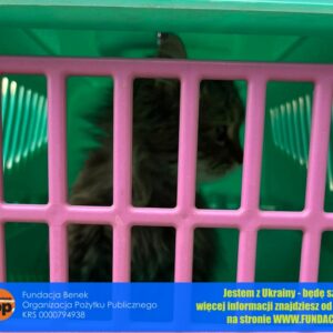 274290017_510023080776022_5707636906101400893_n