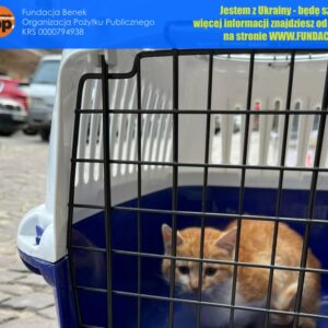 274364381_506760534367789_7643349588759668416_n