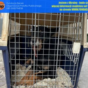 274716439_2740978232862371_8560962234043260536_n