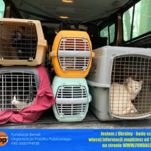 274782968_1843993445793183_3456489005066573035_n