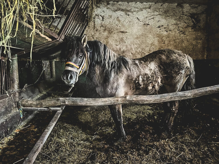 274812983_1023914081594423_5160793364853582590_n