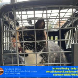 274833215_2118857798290036_2947630887601617975_n