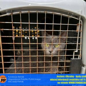 274851187_1015438239072103_3264910515786432271_n