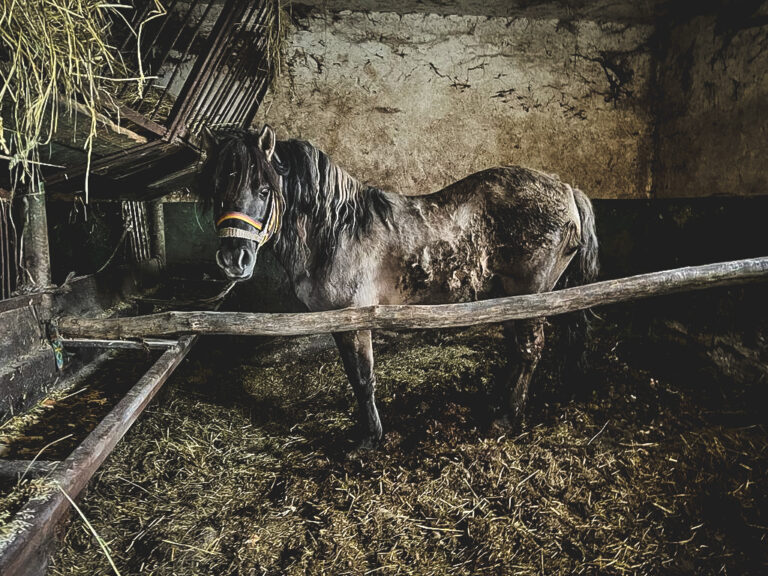 275040900_353330750005112_6238585514287545041_n