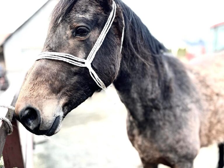 275060067_424654392751972_7082112453537746390_n