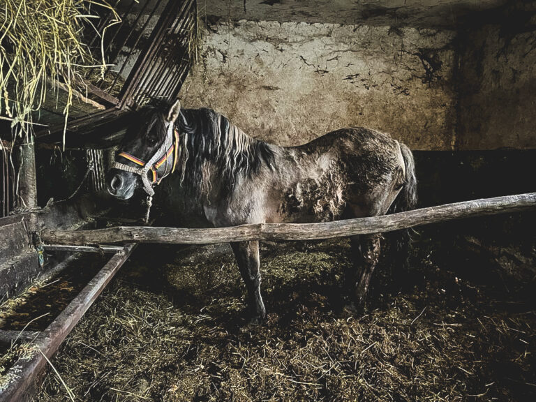 275098262_547524683103056_4971800707026378435_n