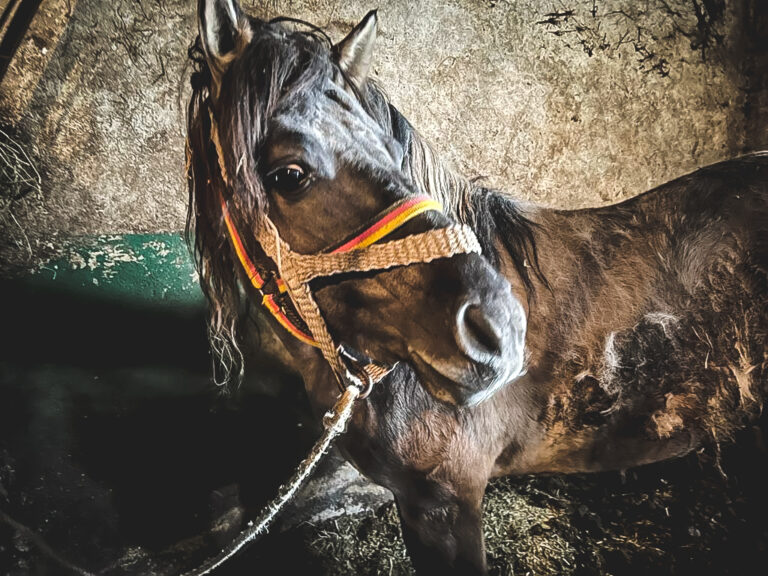 275103694_1362469520862497_2836160627508848401_n