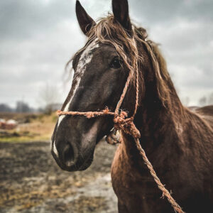 275162941_304676748272897_5223126092291191384_n