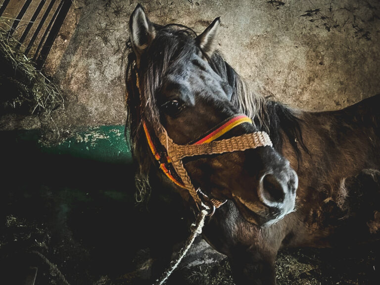 275165295_332495355501947_7802912315072010141_n