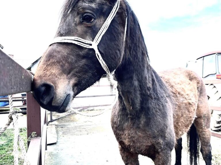 275236097_383815679813751_3158071575056293815_n