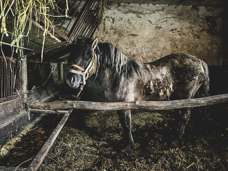 275283901_610593030278819_599082860477926520_n