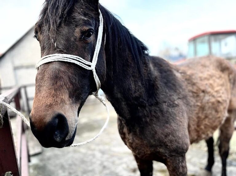 275287362_465874345219781_20958313527848005_n