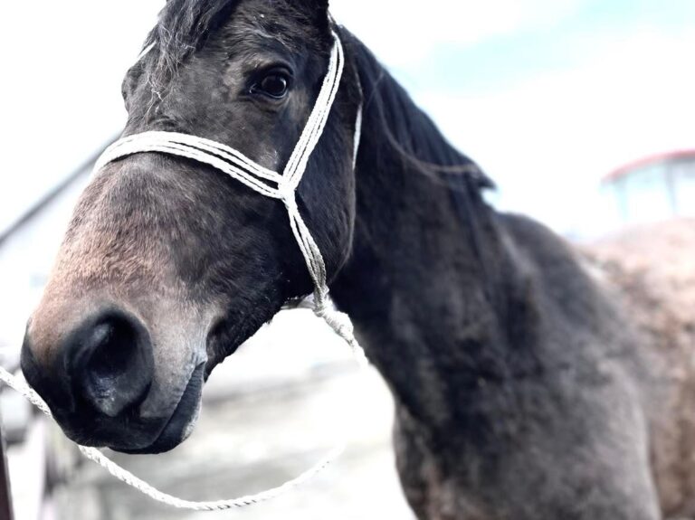 275295958_1023519075229727_5121483965003997073_n