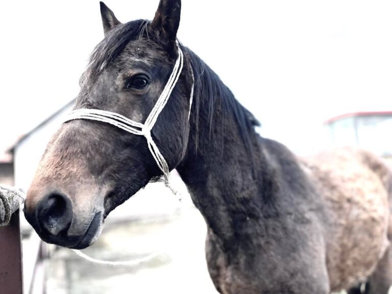 275308581_482499863367757_3435835237371956739_n