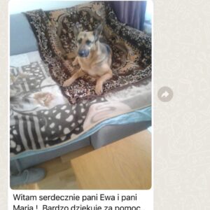 275662210_133029662587613_6493747745421420658_n1