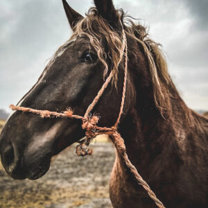 275817426_792674935039496_1866616485014092224_n