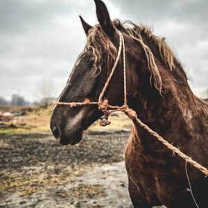 275958255_522996489208256_3566512414545983602_n