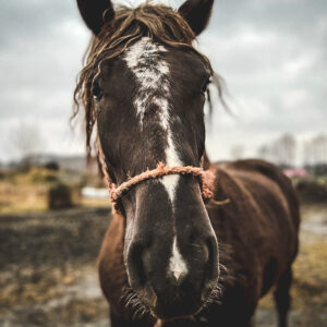 276011346_505243801174693_296650676512023677_n