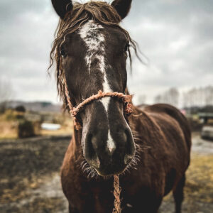 276019049_716917583012130_2444916864656503855_n