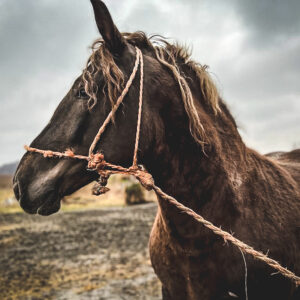 276033890_532629428255177_6740069833403563493_n