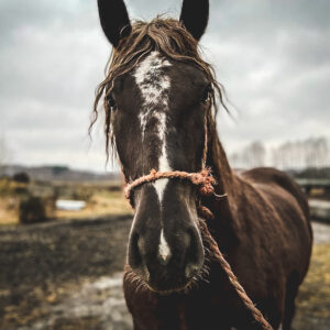 276035748_694317945041524_1338636630437640209_n