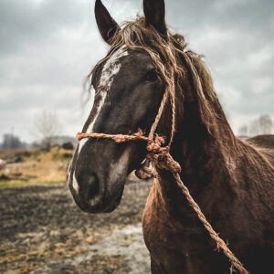 276130647_3155137748032660_4634927597989137960_n