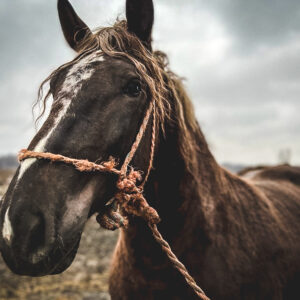 276984481_937168273613535_5664680359153192827_n