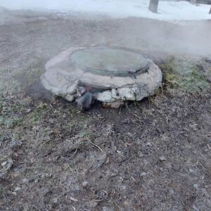 Zdjęcie Poratunok Twaryn Kharkiv (11)