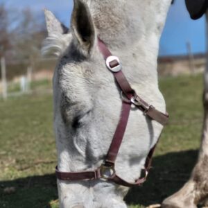 277770817_140549561835623_1872091598019855962_n