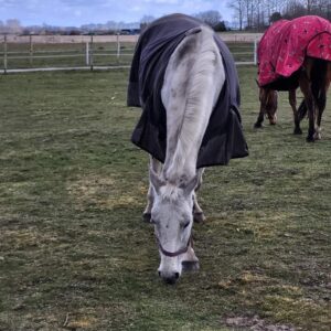 277792674_140549528502293_1944823087917191714_n