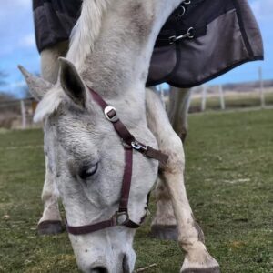 277794699_140549468502299_6199474890325936648_n