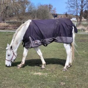 277796485_140549348502311_541489155628184287_n